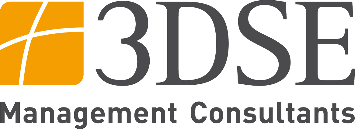 3dse management consultants at gmbh